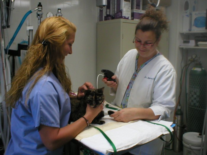 VCA Beech Grove Animal Hospital Photo