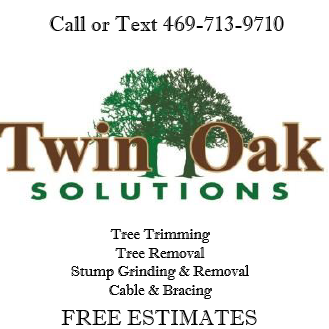 Twin Oak Solutions Logo