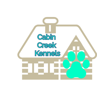 Cabin Creek Kennels Labradoodle 200 Cabin Creek Rd Ellerbe Nc