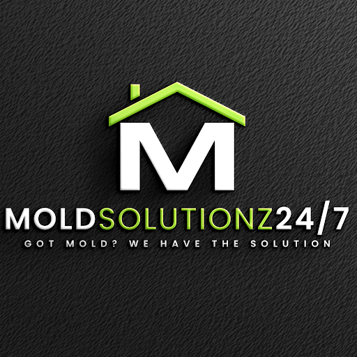 Mold Solutionz 24/7