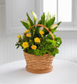 The FTD® Cheerful Wishes Blooming Basket by Better Homes and Gardens®