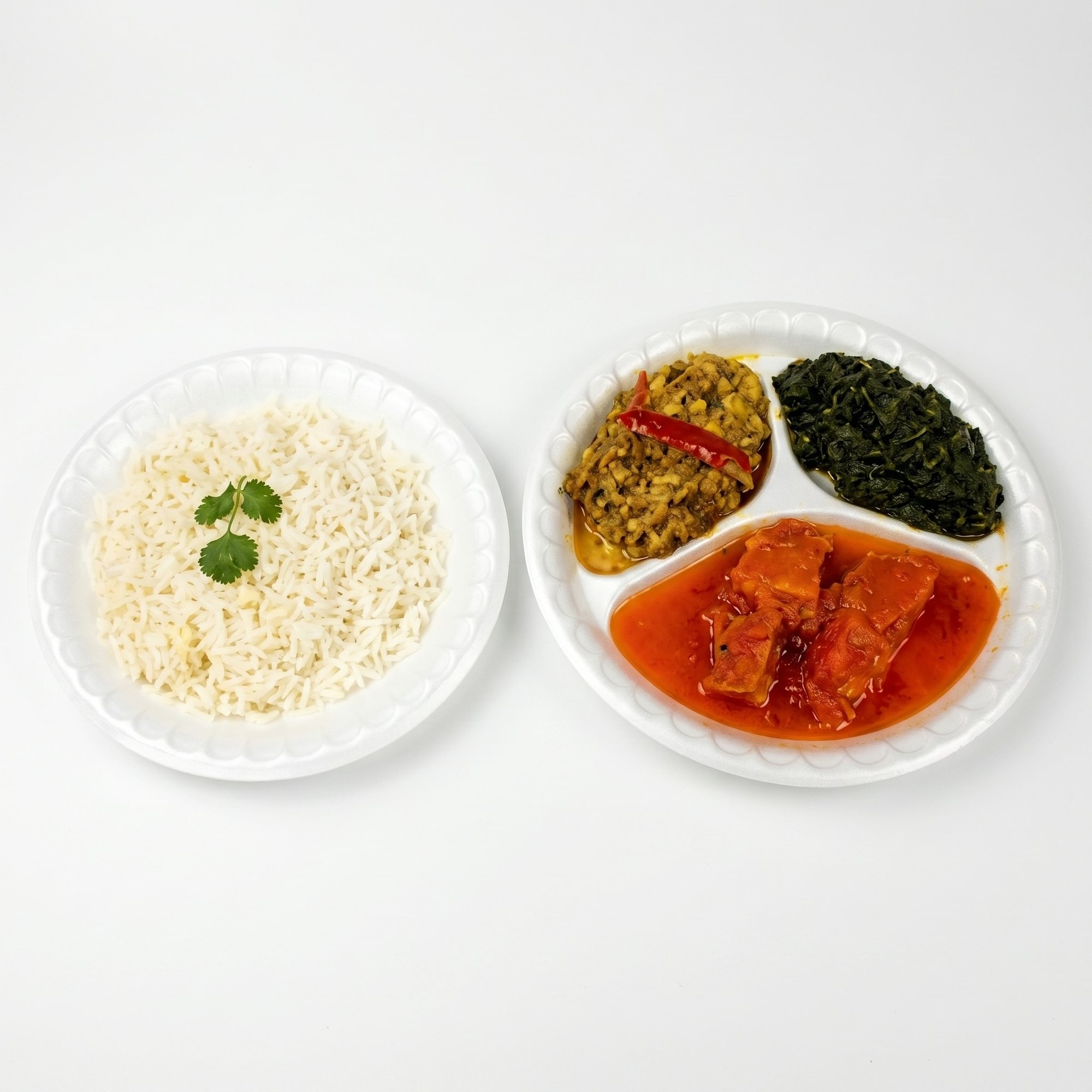 V1. Vegetarian Rice Combo
