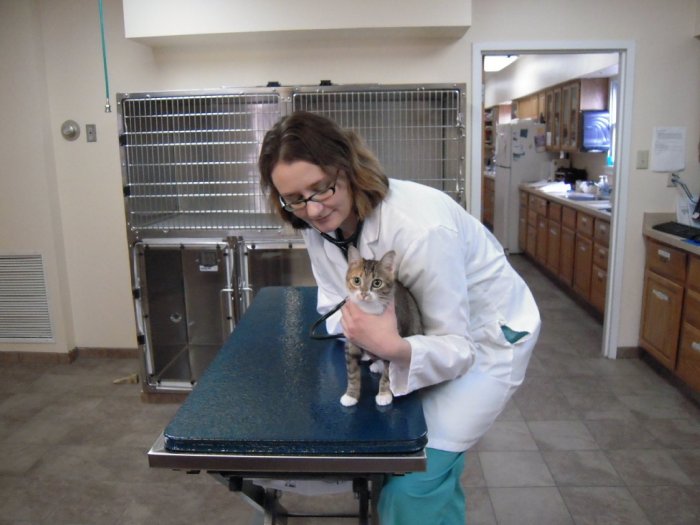 VCA Detwiler Animal Hospital Photo