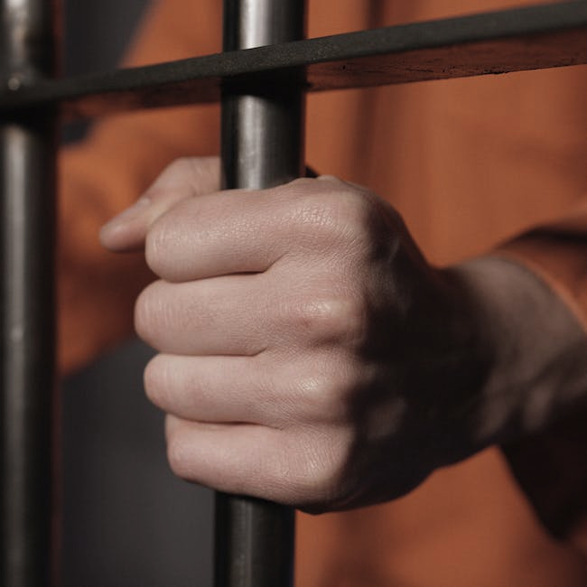 Criminal Defense Attorney