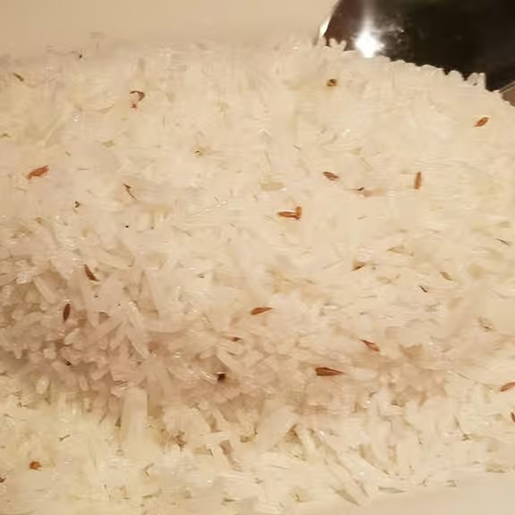83. Pulao Rice