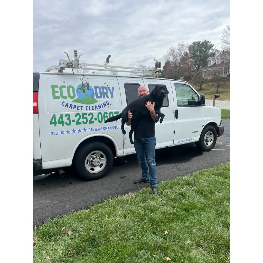 Eco-Dry Carpet Cleaning