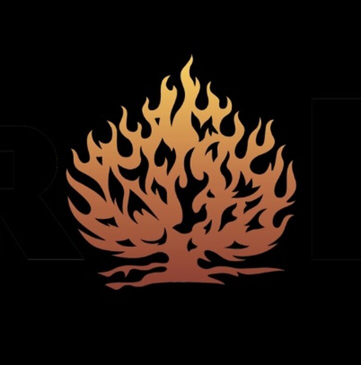 Pro Heat Pest Solutions LLC Image