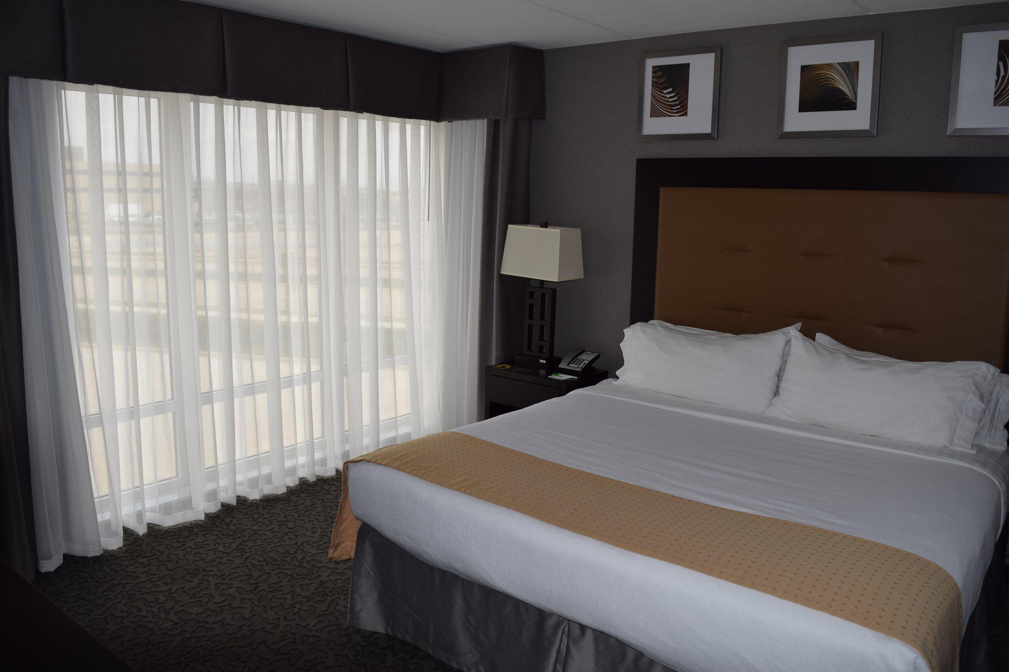 Holiday Inn & Suites East Peoria Photo