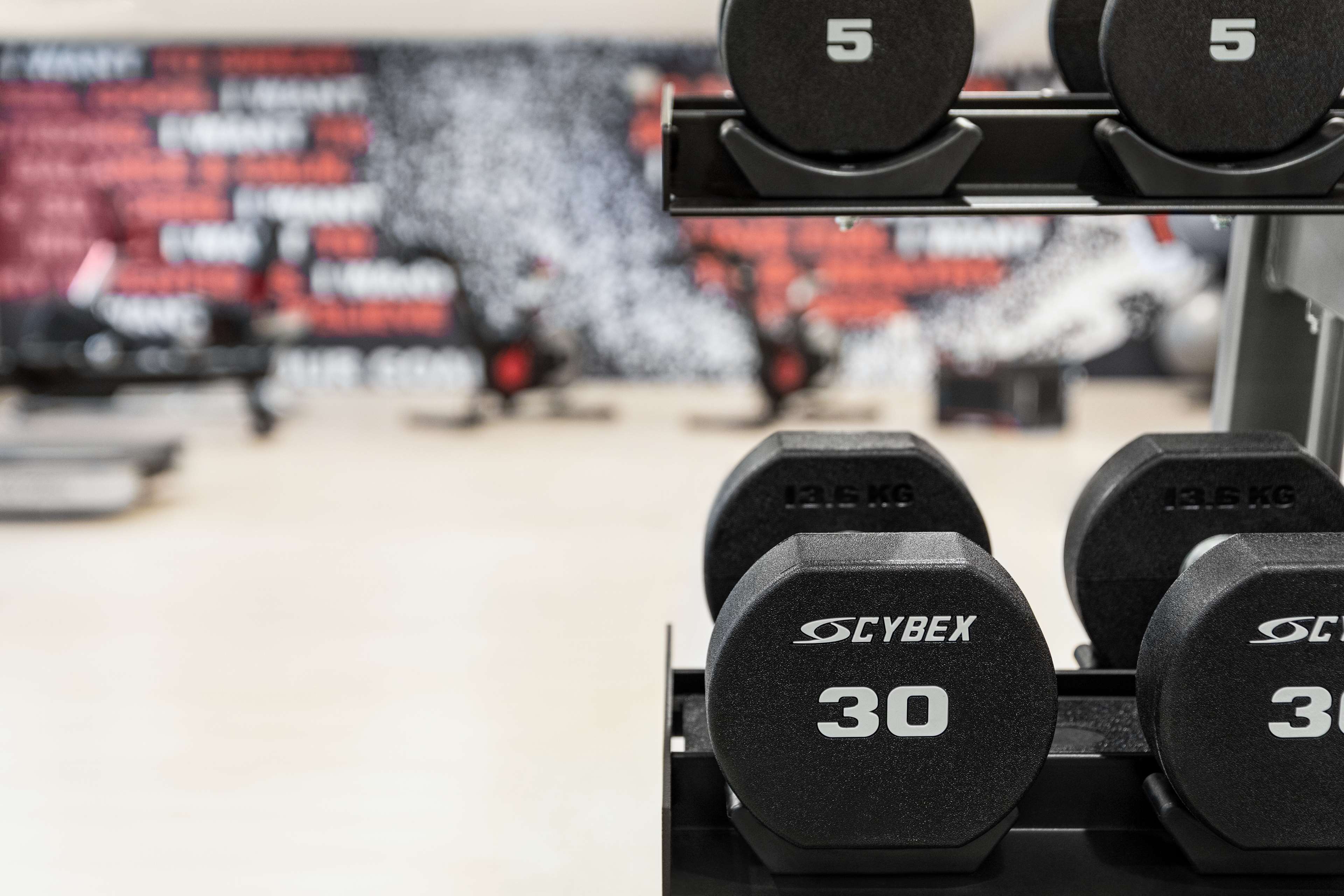 Health club  fitness center  gym