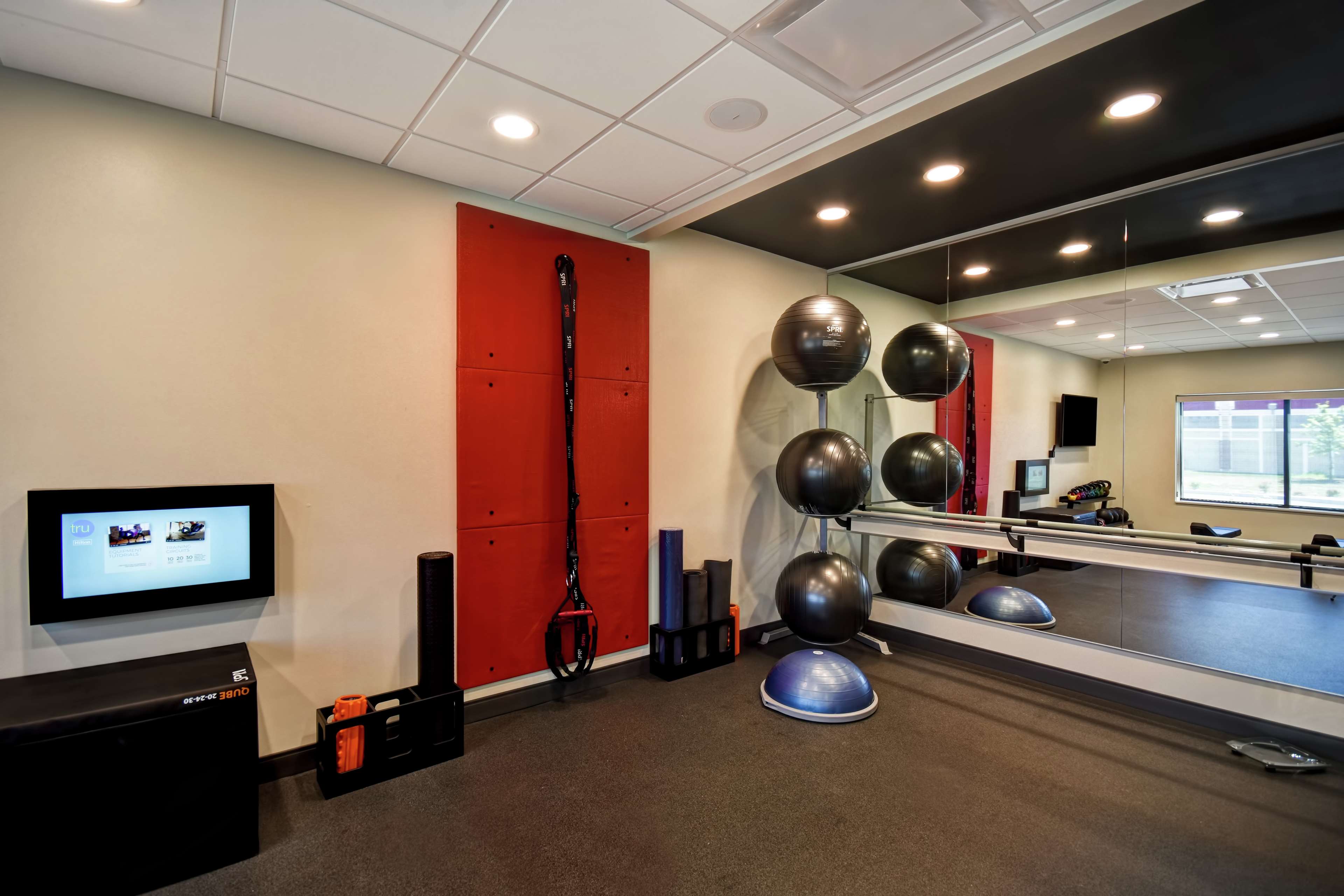 Health club  fitness center  gym