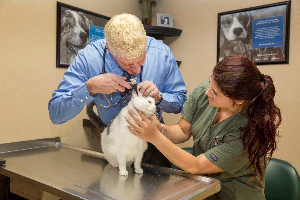 Sarasota Veterinary Center Photo