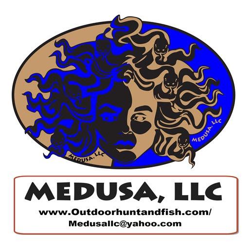 Medusa LLC Logo