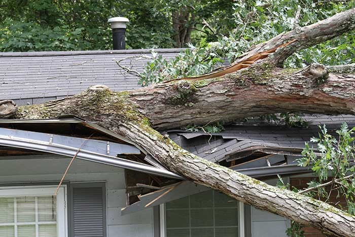 Storm Damage & Insurance Claim Assistance