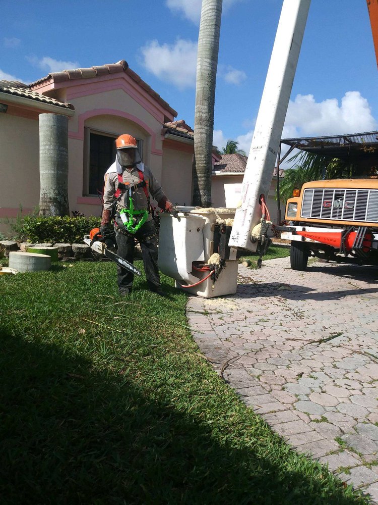 Amen Tree Service Inc Logo