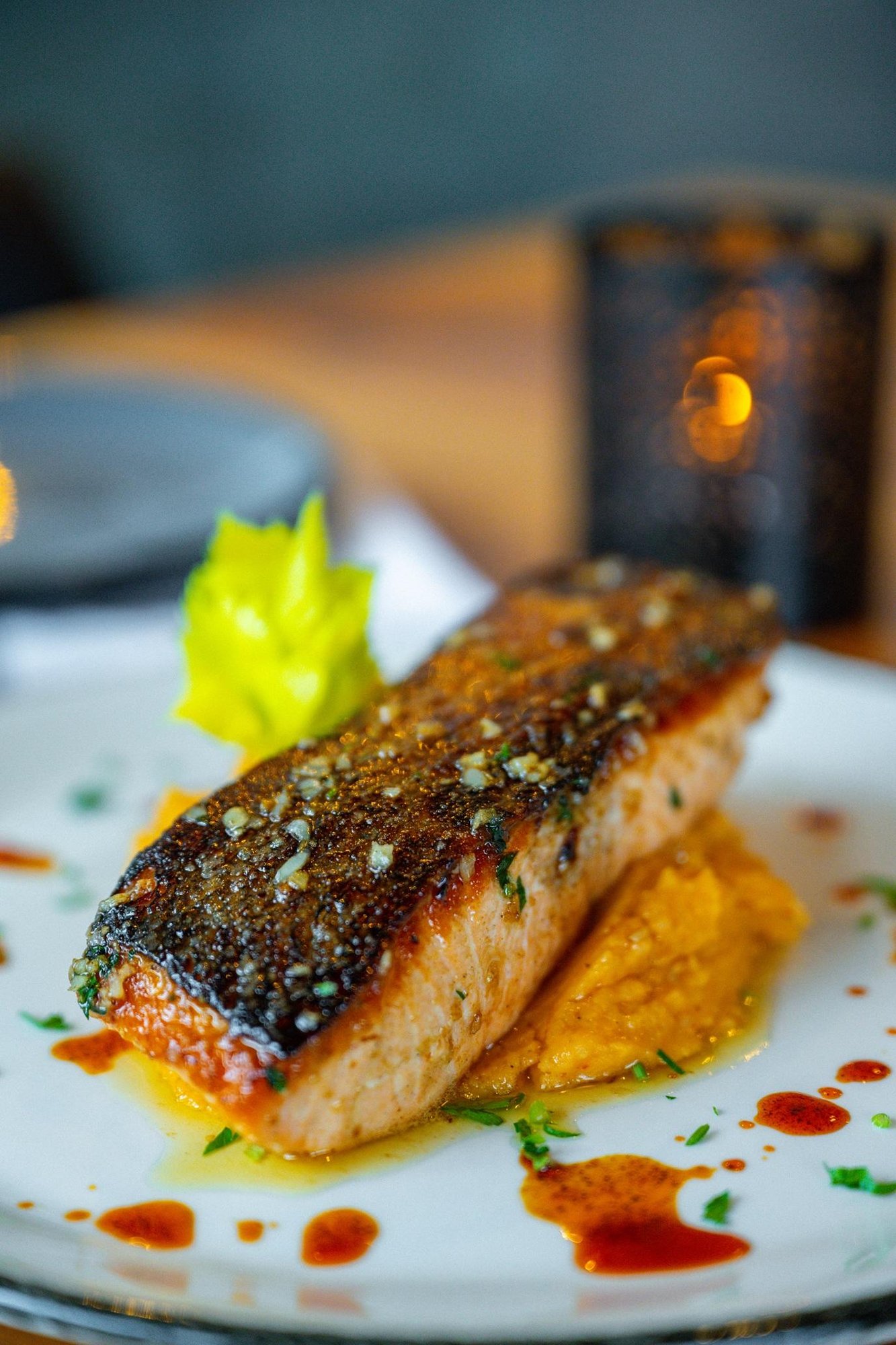 Salmon