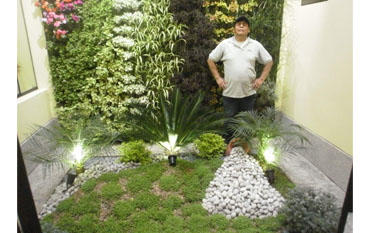 Galería en miniatura