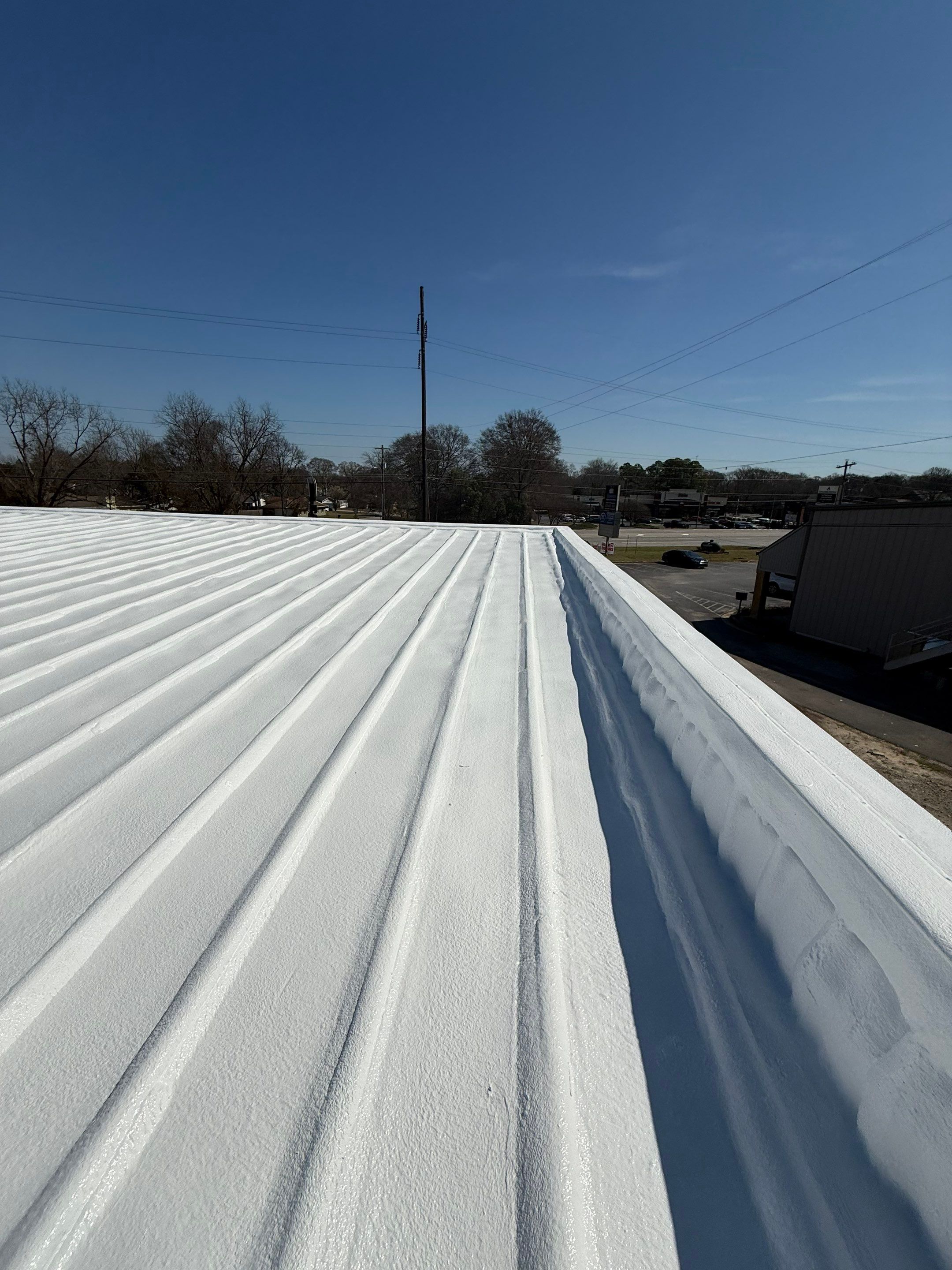 Altamaha Roof Restorations LLC