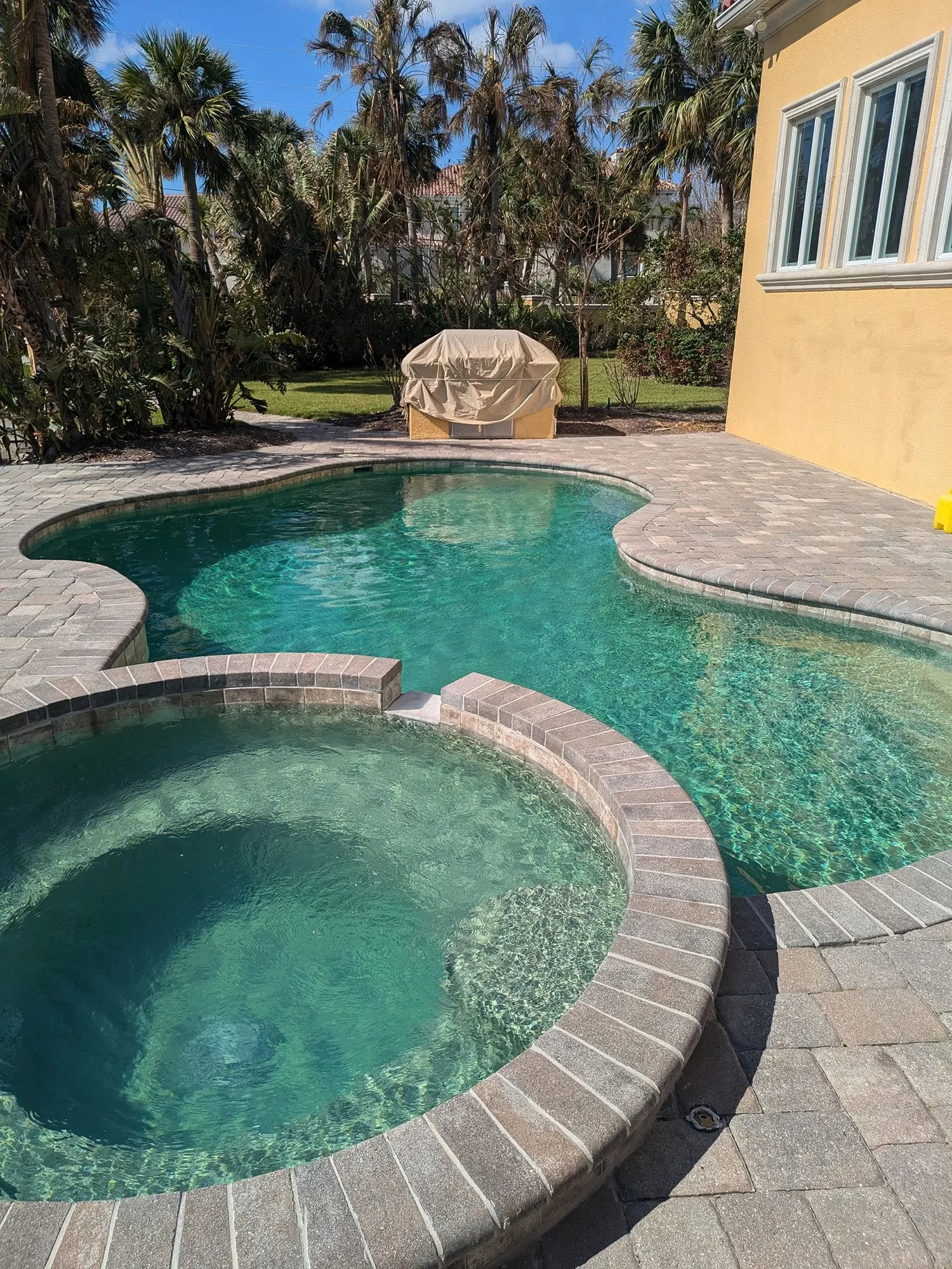 Pool Cleaning Services