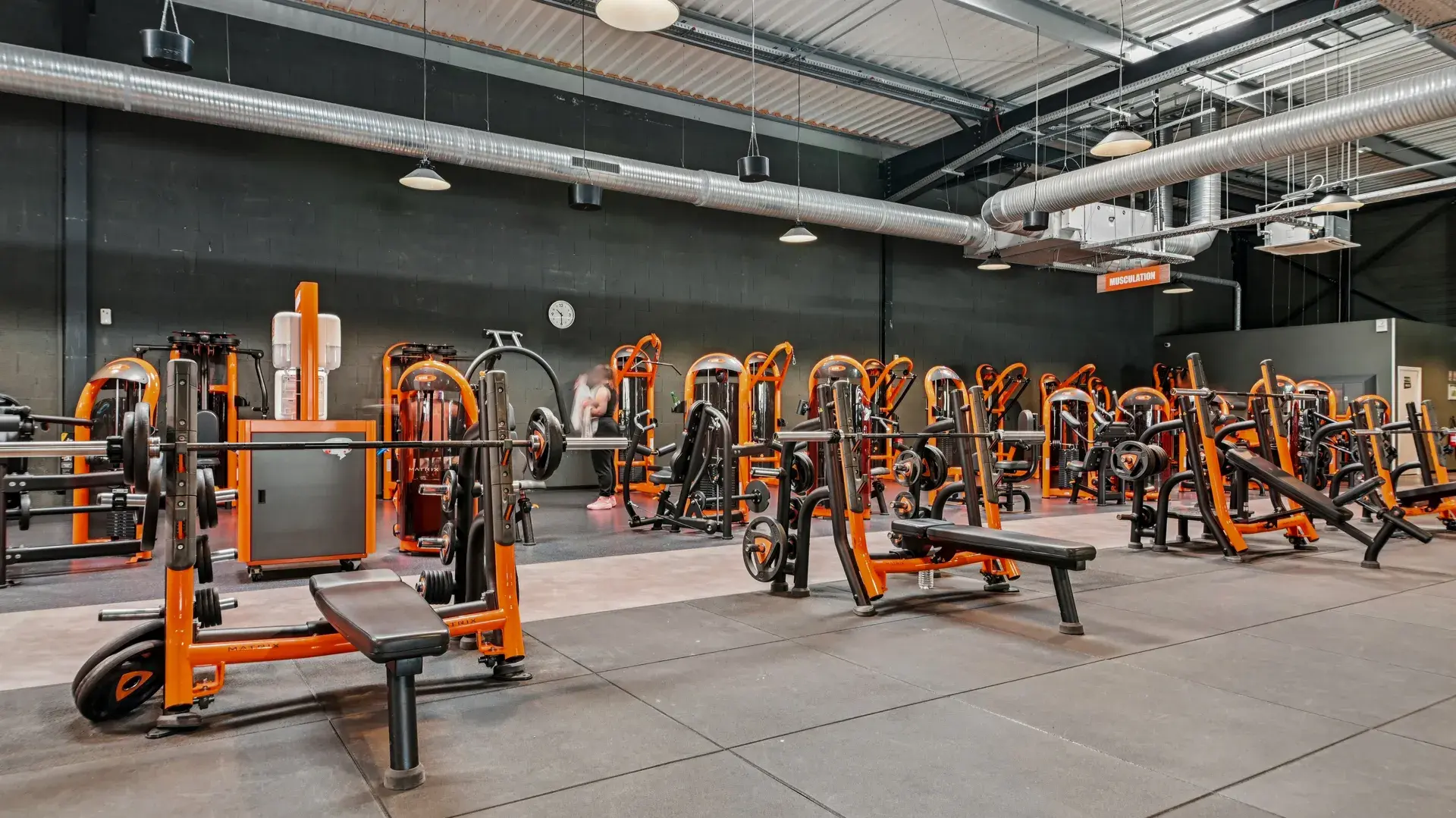 Miniature de la galerie