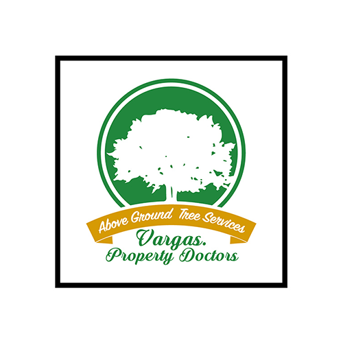 Vargas Property Doctors