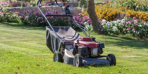 3 Reasons Why Summer Lawn Maintenance is Essential