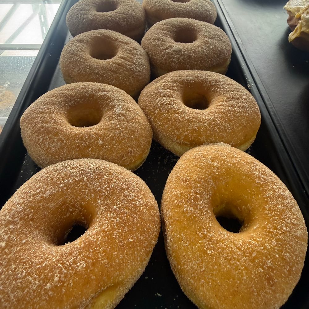Cinnamon Sugar Donut