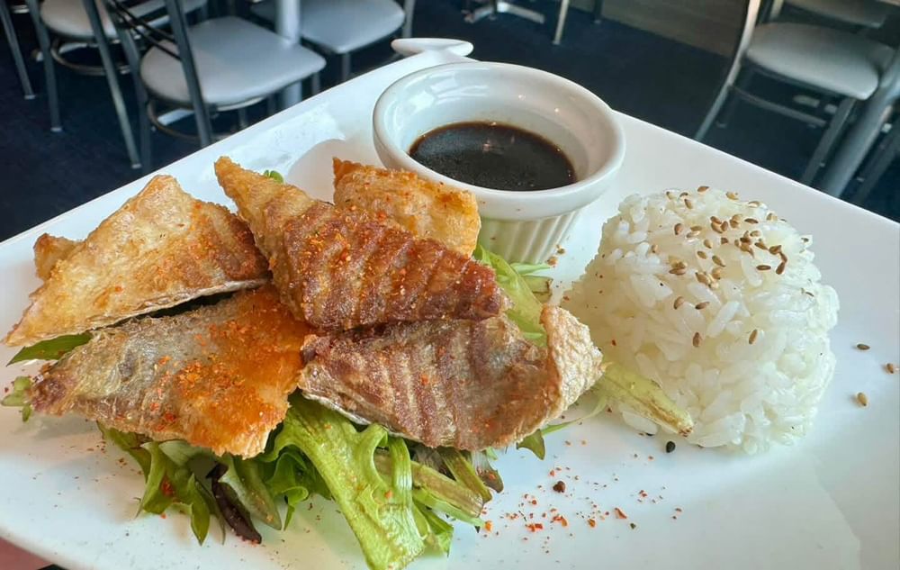 Salmon Chips