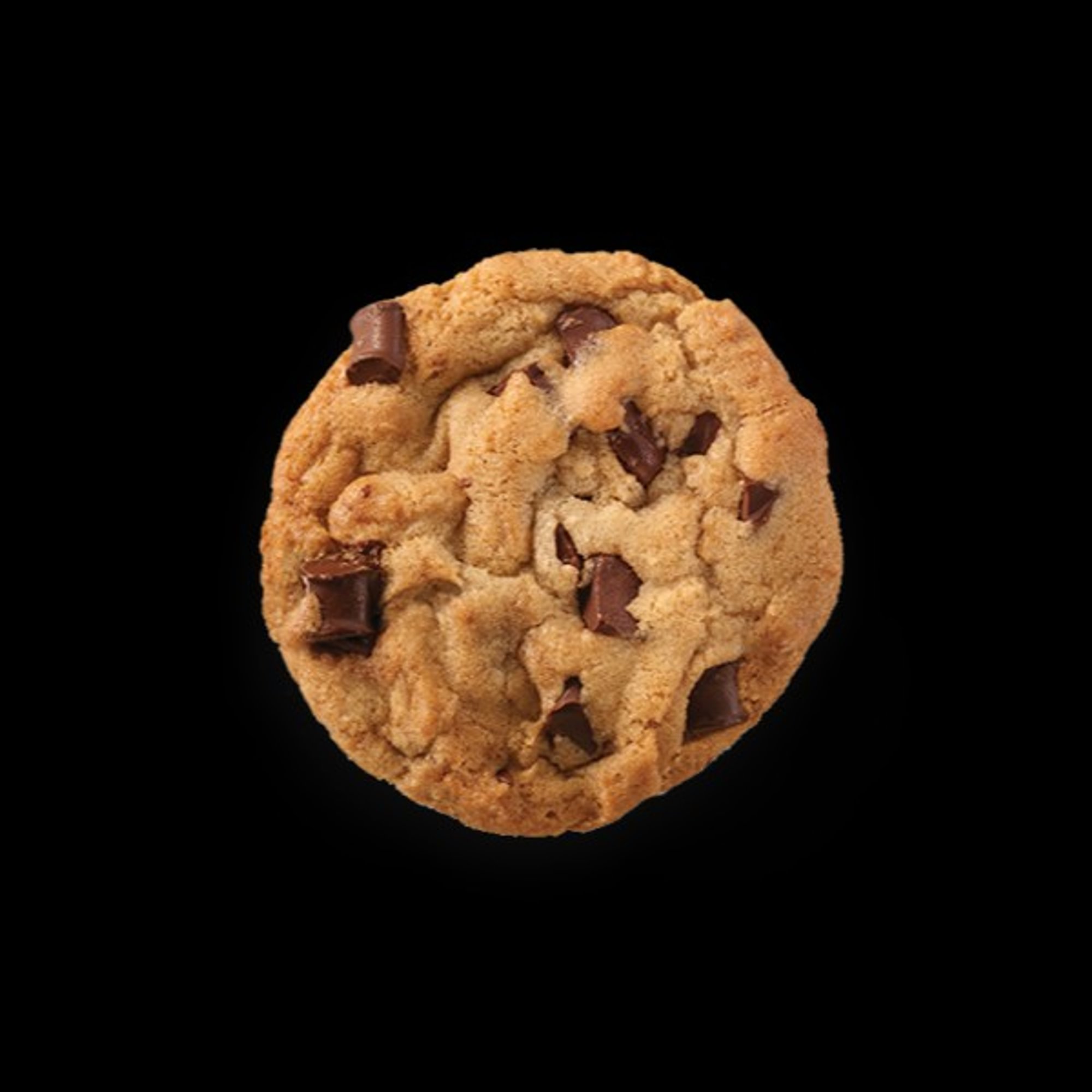 Fresh Baked Chocolate Chip Cookie
