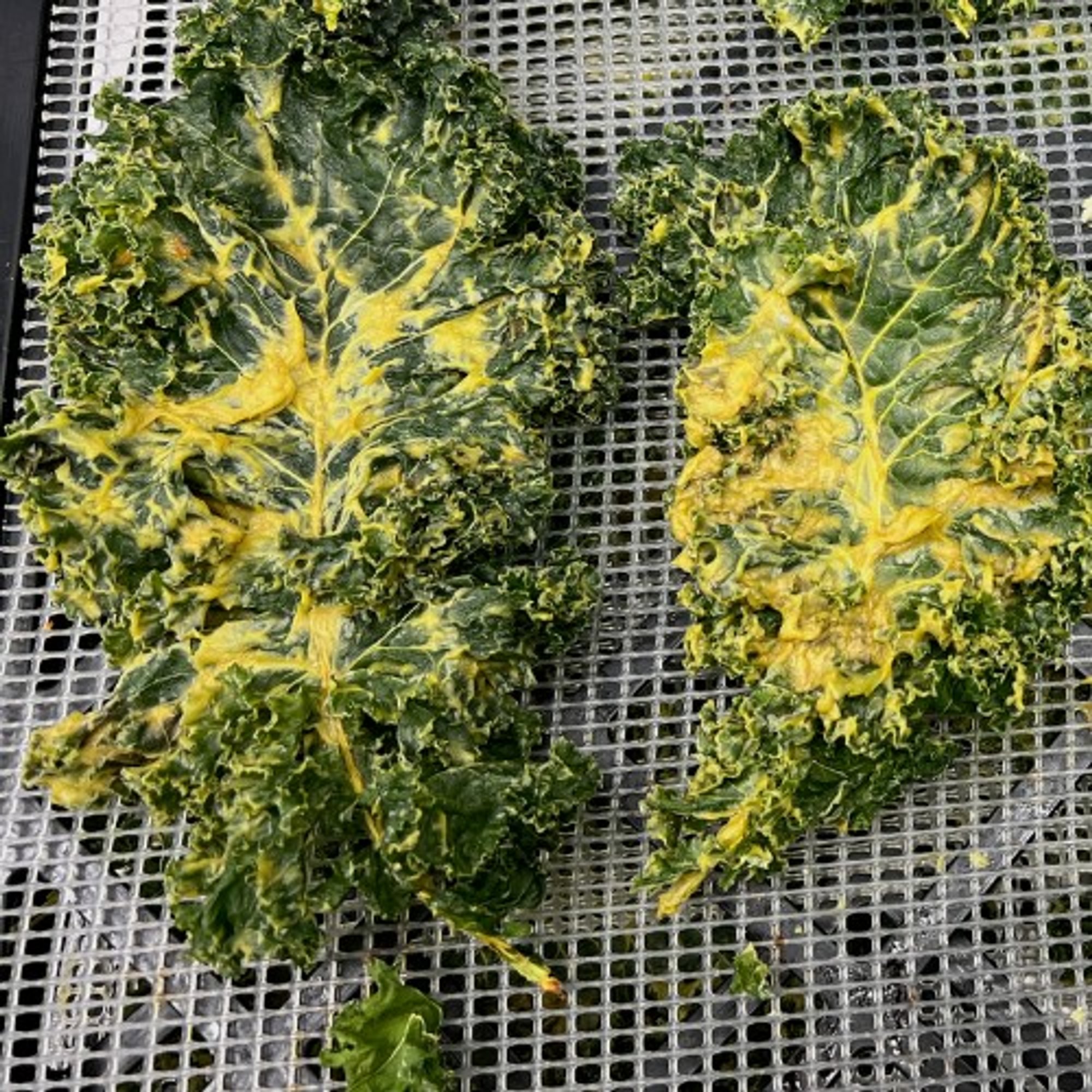 Kale Chips