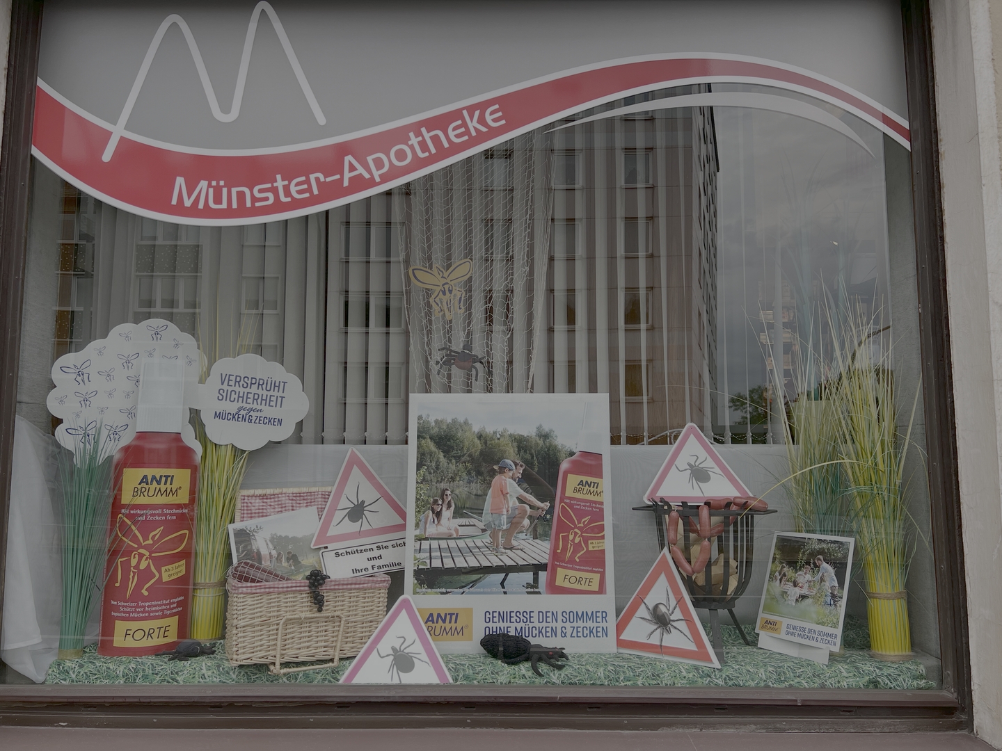 Galerie-Thumbnail