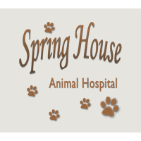 Springhouse Animal Hospital