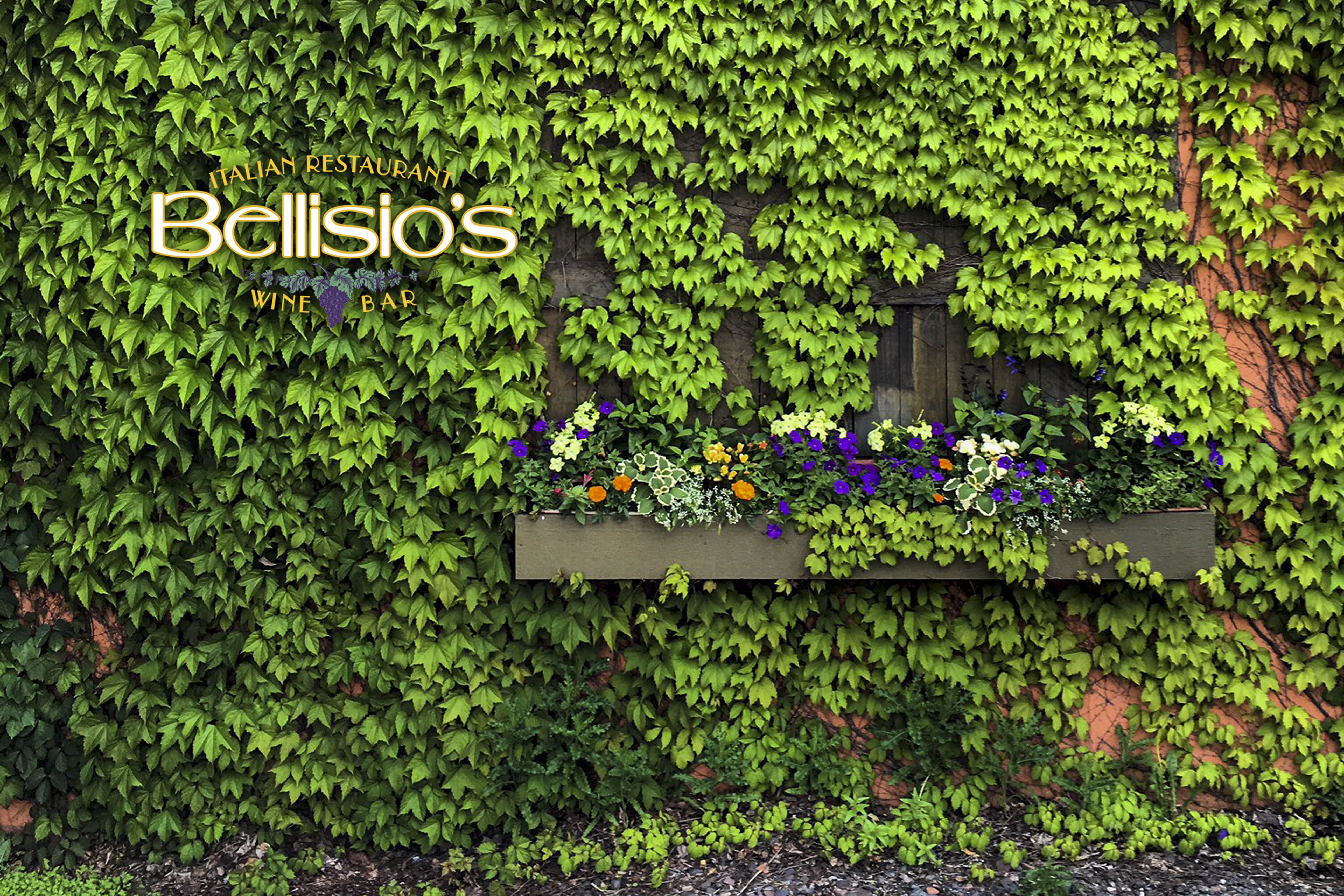 Bellisio’s Italian Restaurant and Wine Bar Image