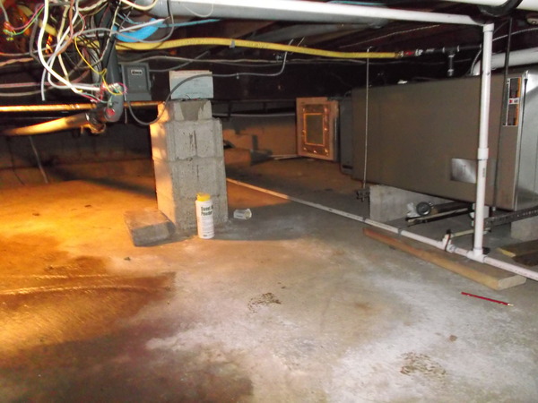 Dry Guys Basement Systems Photo