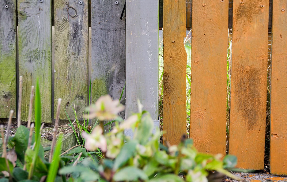 First Post Fence Image