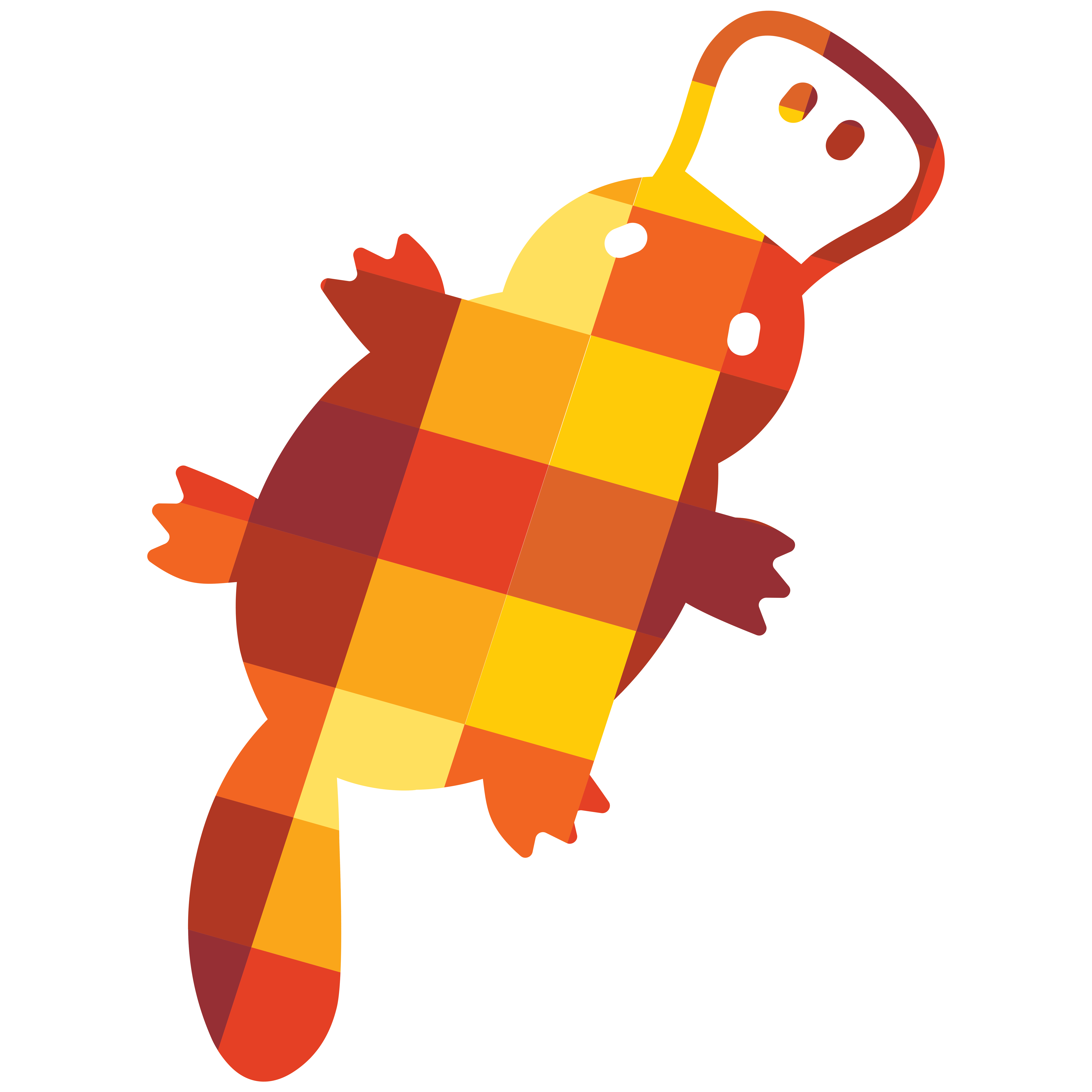 Plaidypus, Inc. Logo