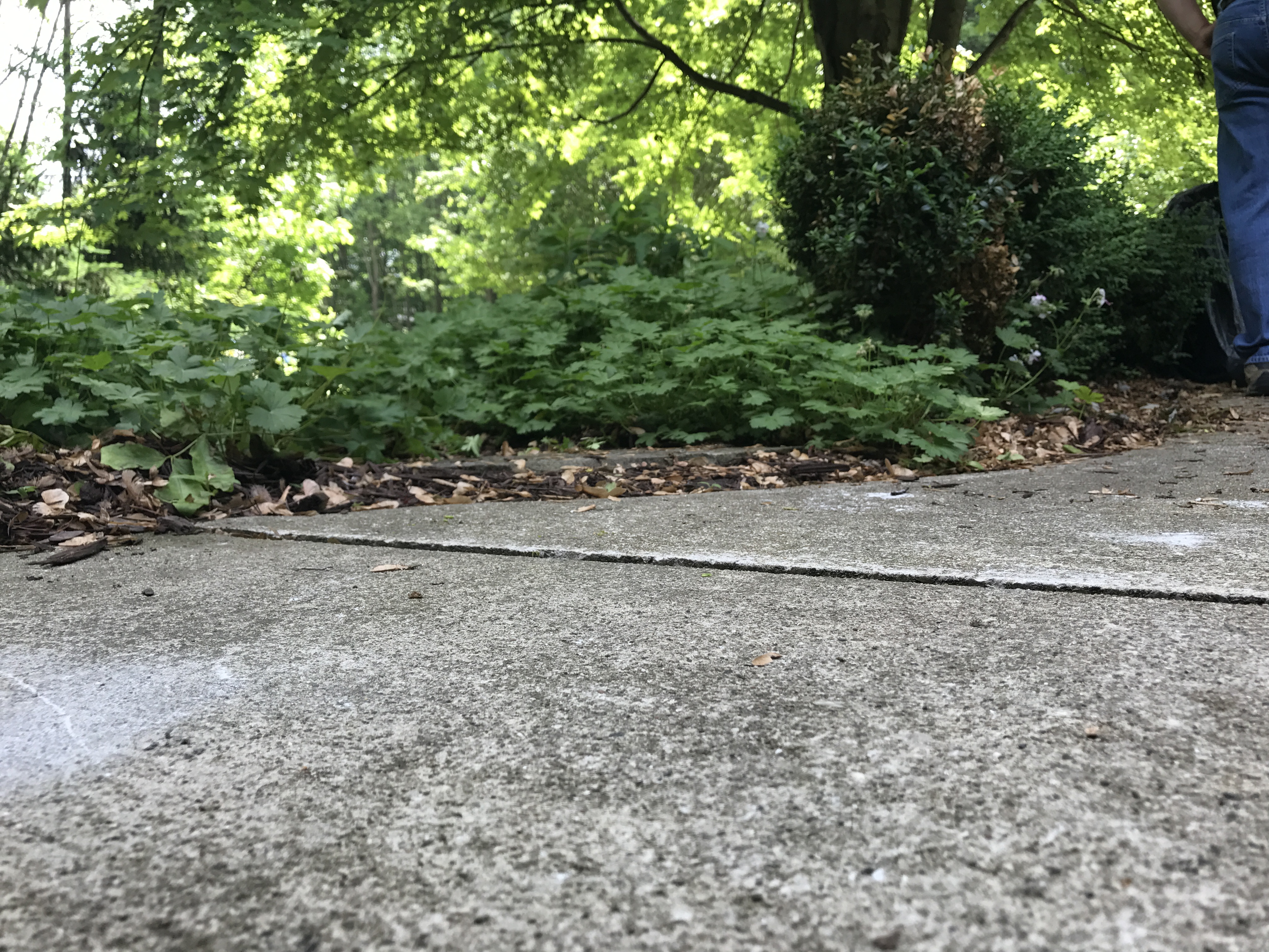 Ox Foundation Solutions Image