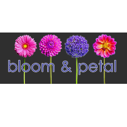 Bloom and Petal Logo