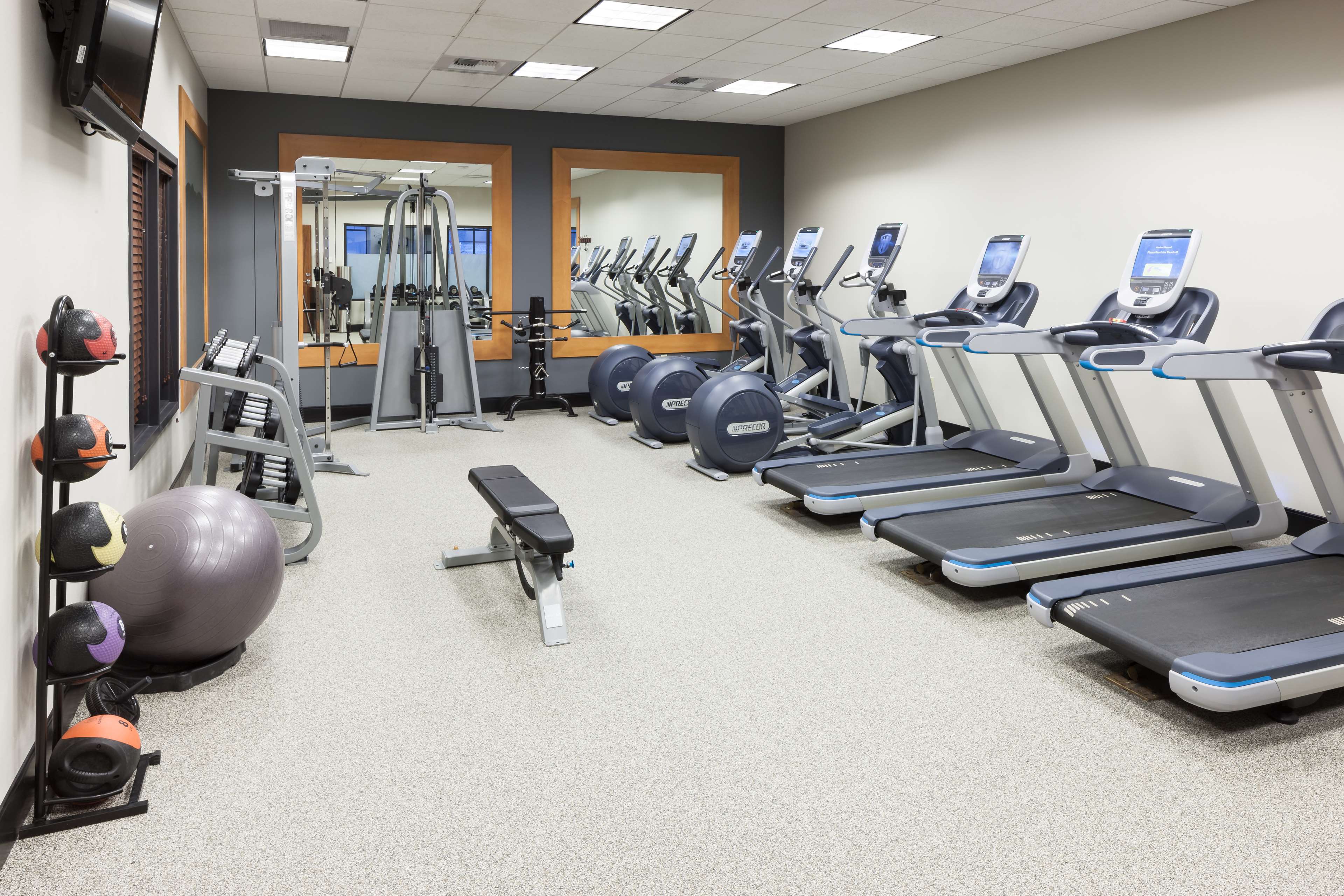 Health club  fitness center  gym