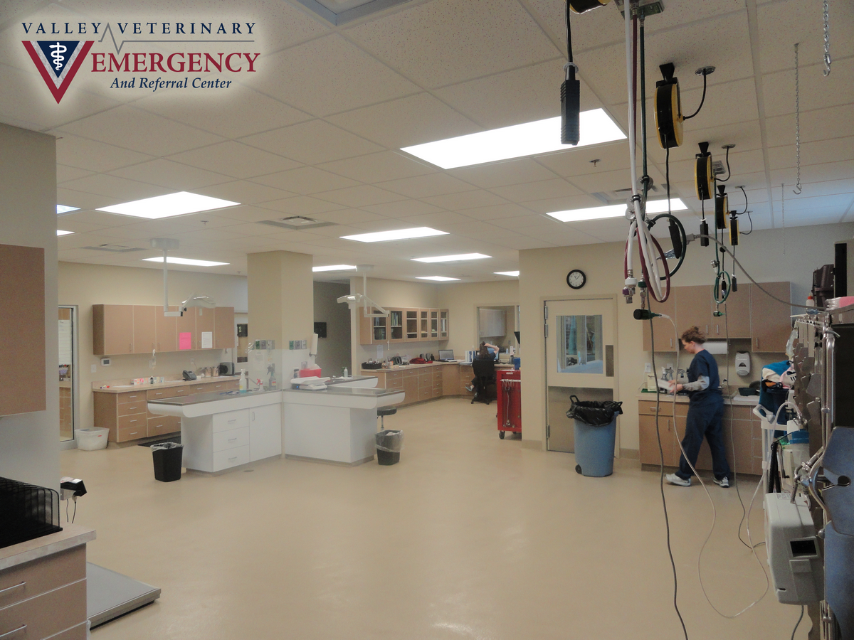 Valley Veterinary Emergency & Referral Center Photo