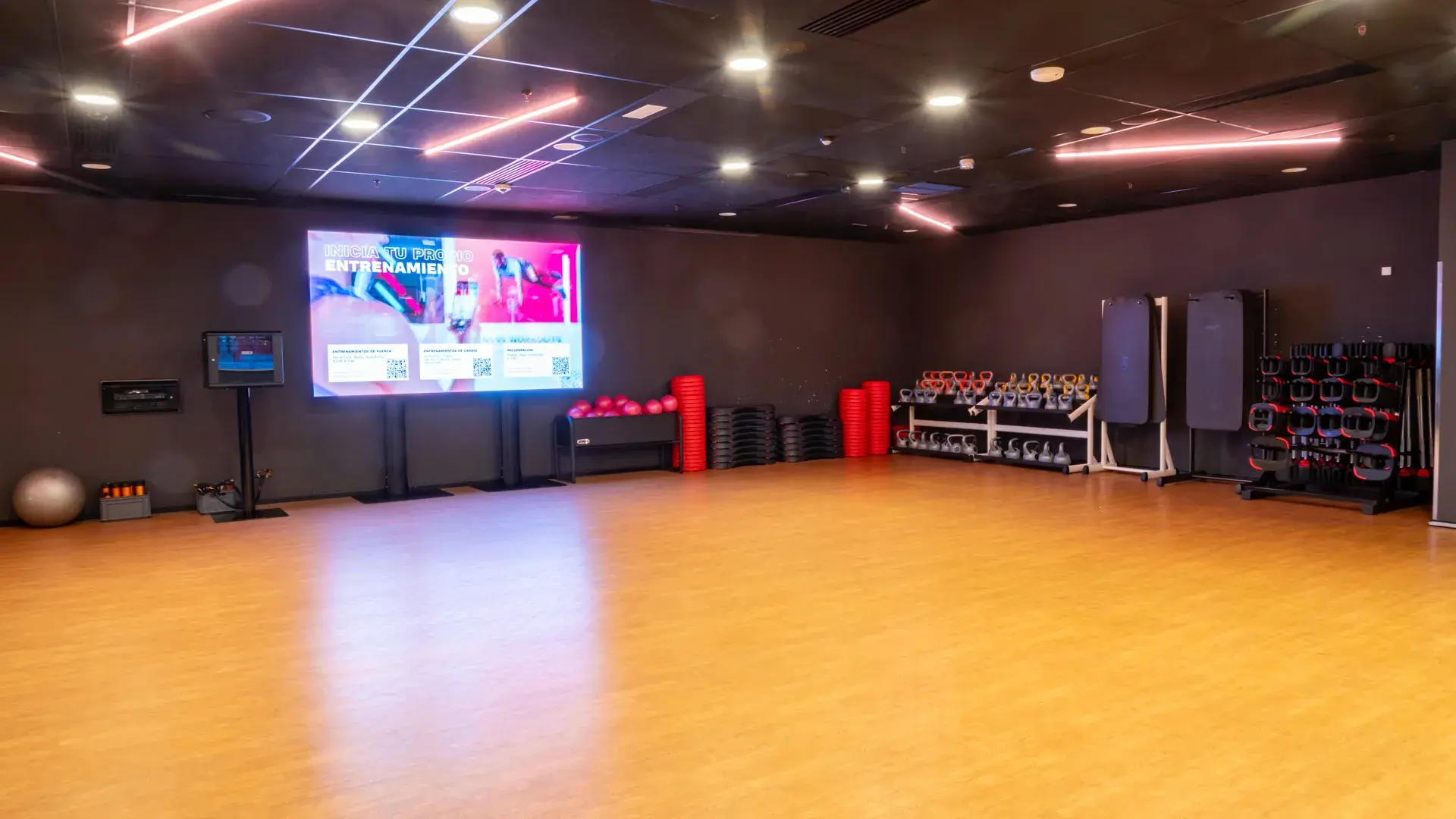 Galería en miniatura