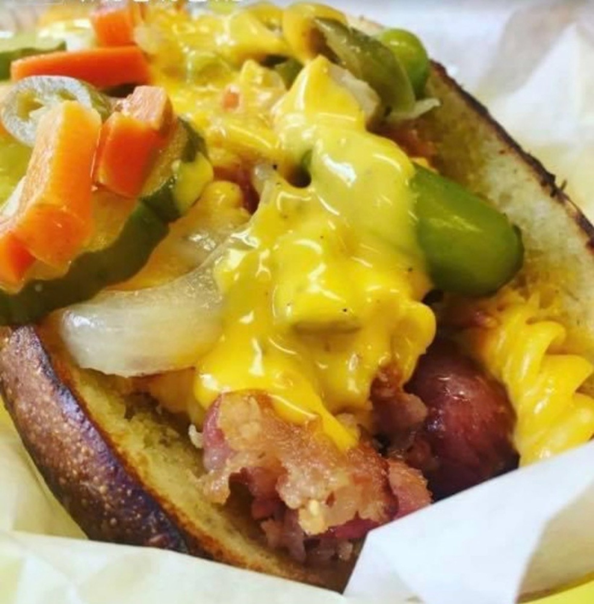 Mac Daddy Dog