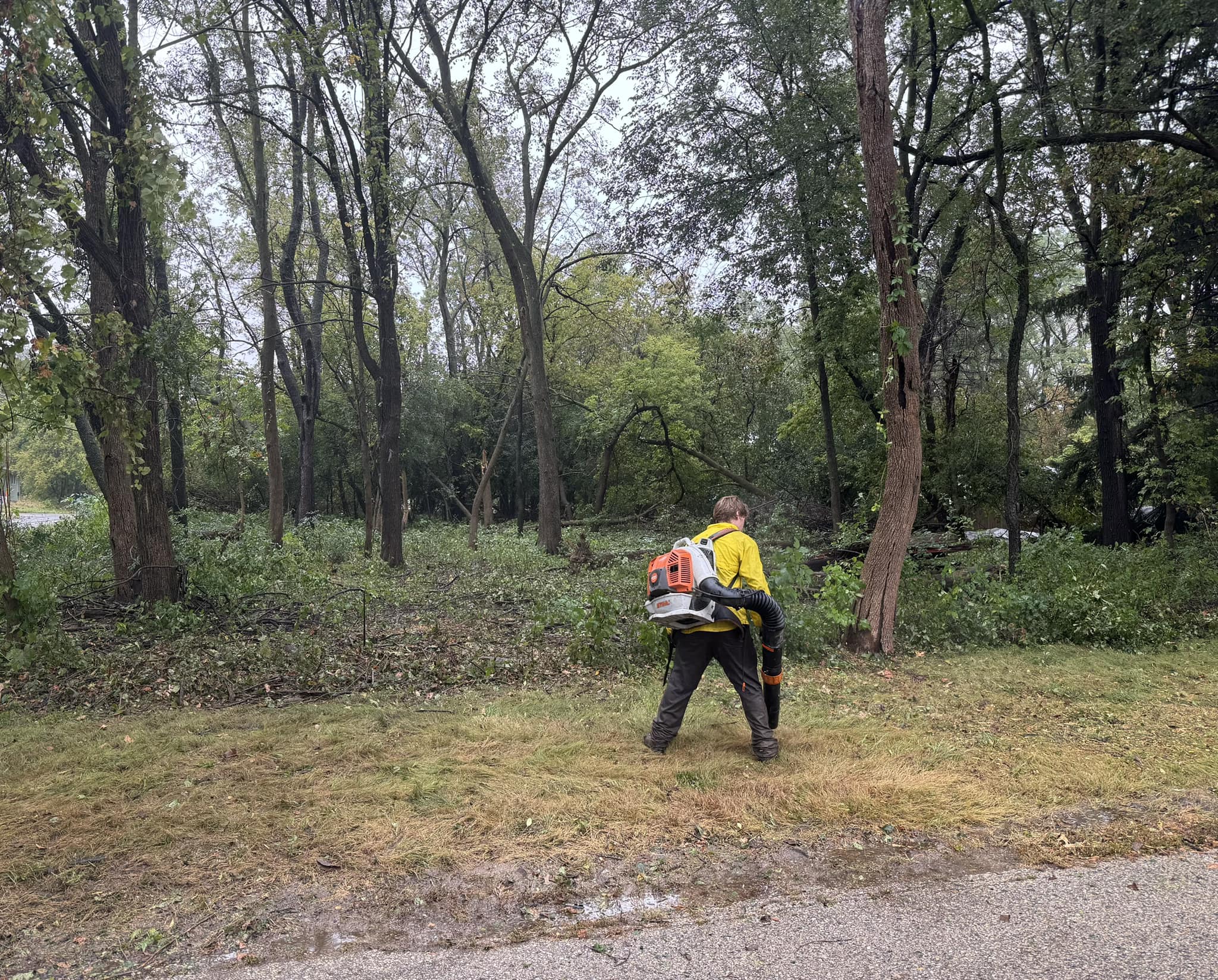 T’s Tree Service Image