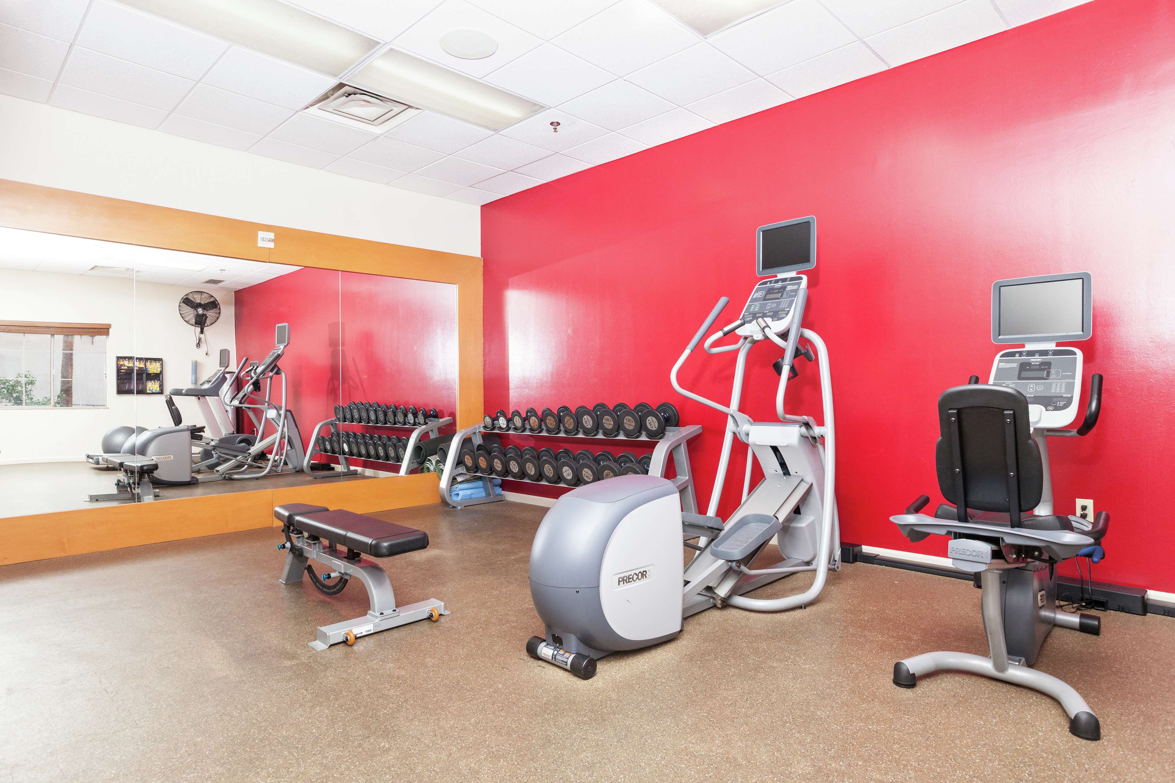 Health club  fitness center  gym