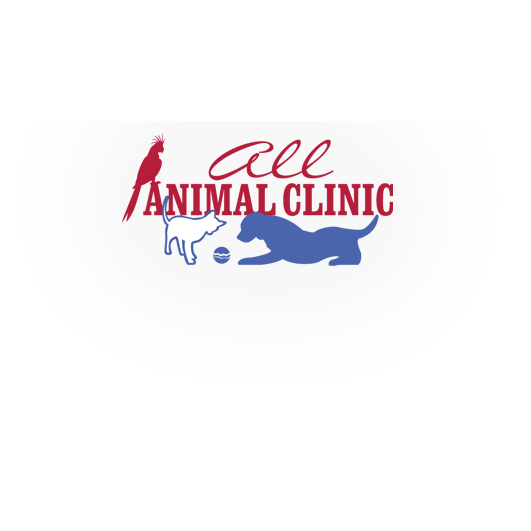 All Animal Clinic in Orange Park, FL 32065 | Citysearch