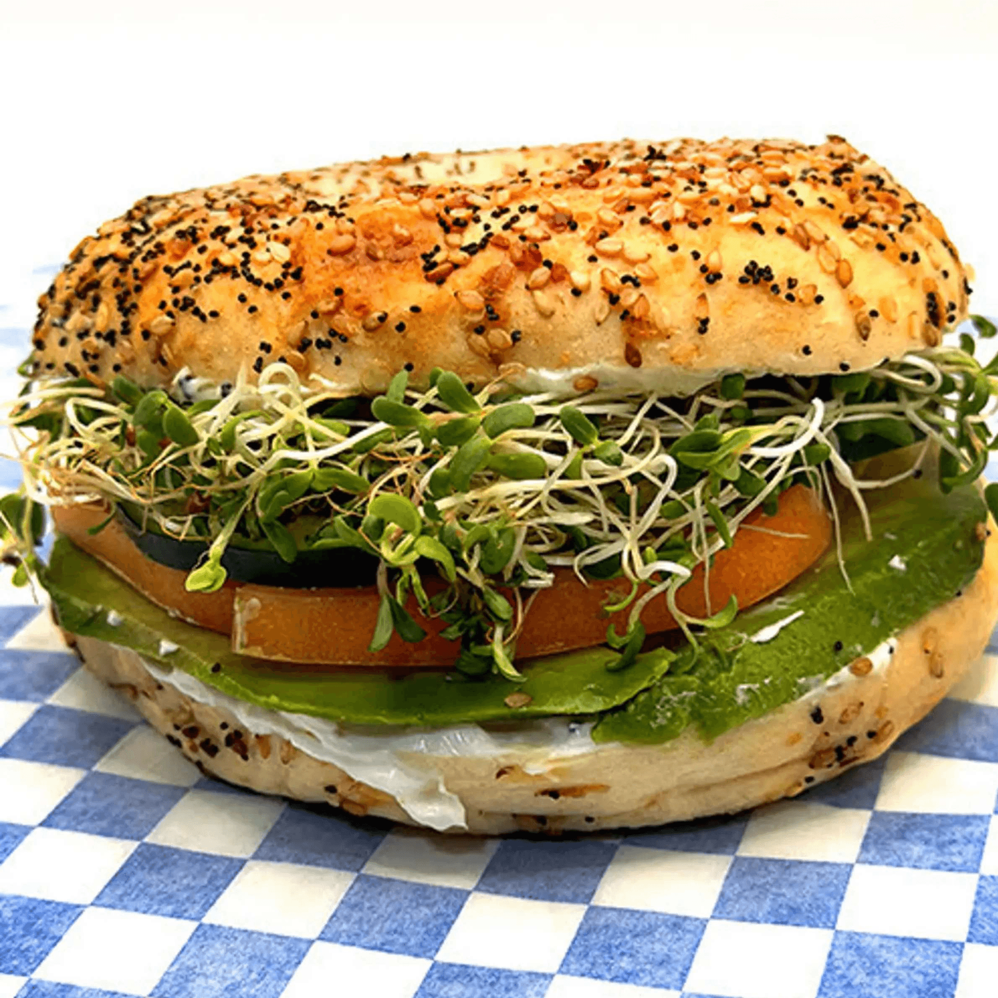 Sprout Bagel