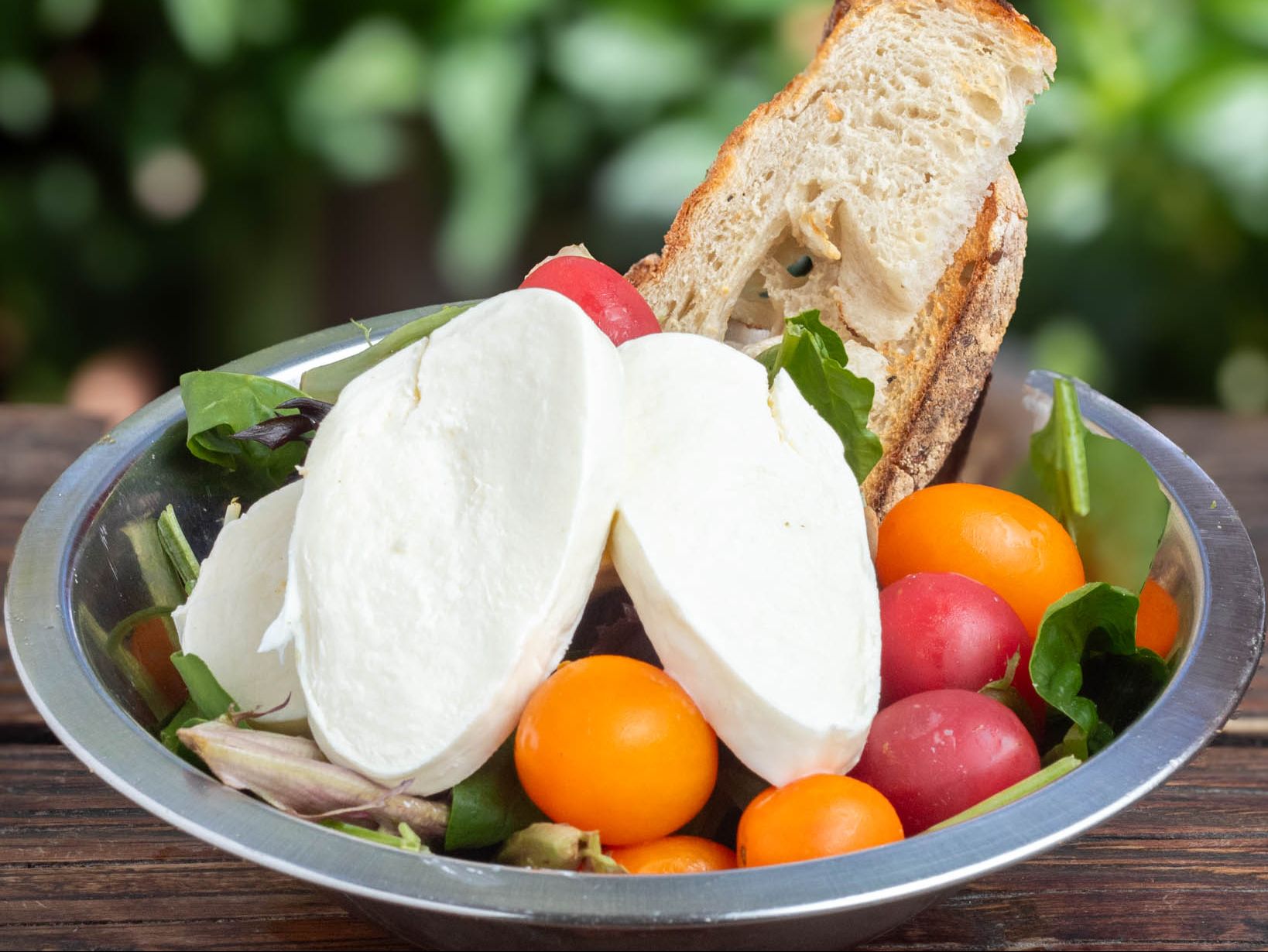 Caprese Salad