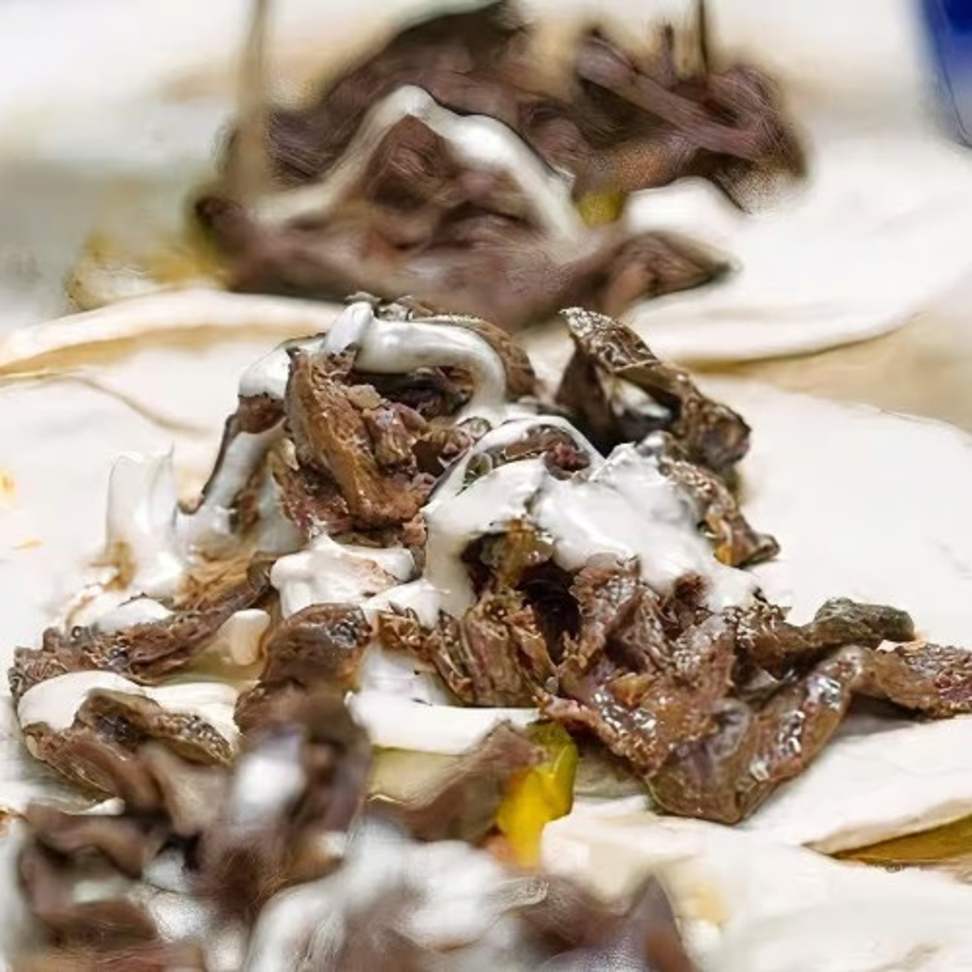 Lamb Shawarma SND
