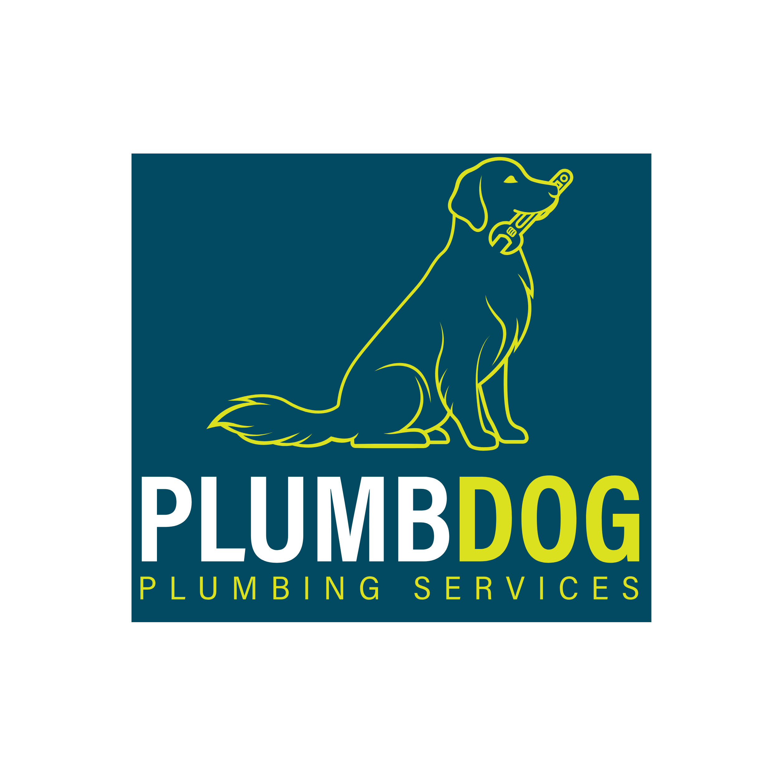 PlumbDog