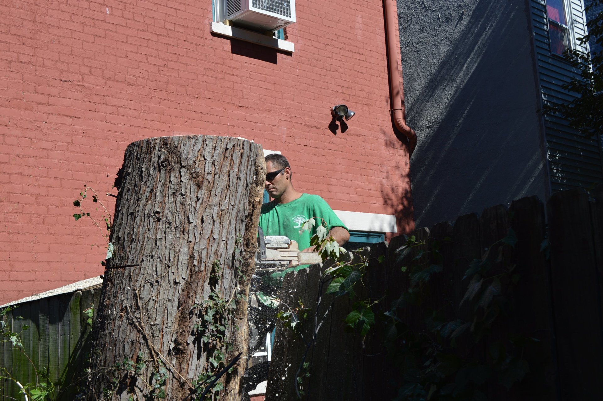 Peru's Tree Service Inc. Photo