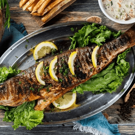 Mediterranean Sea Bass